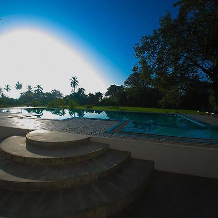 Birdsong Leisure Resort Тіссамахарама Екстер'єр фото